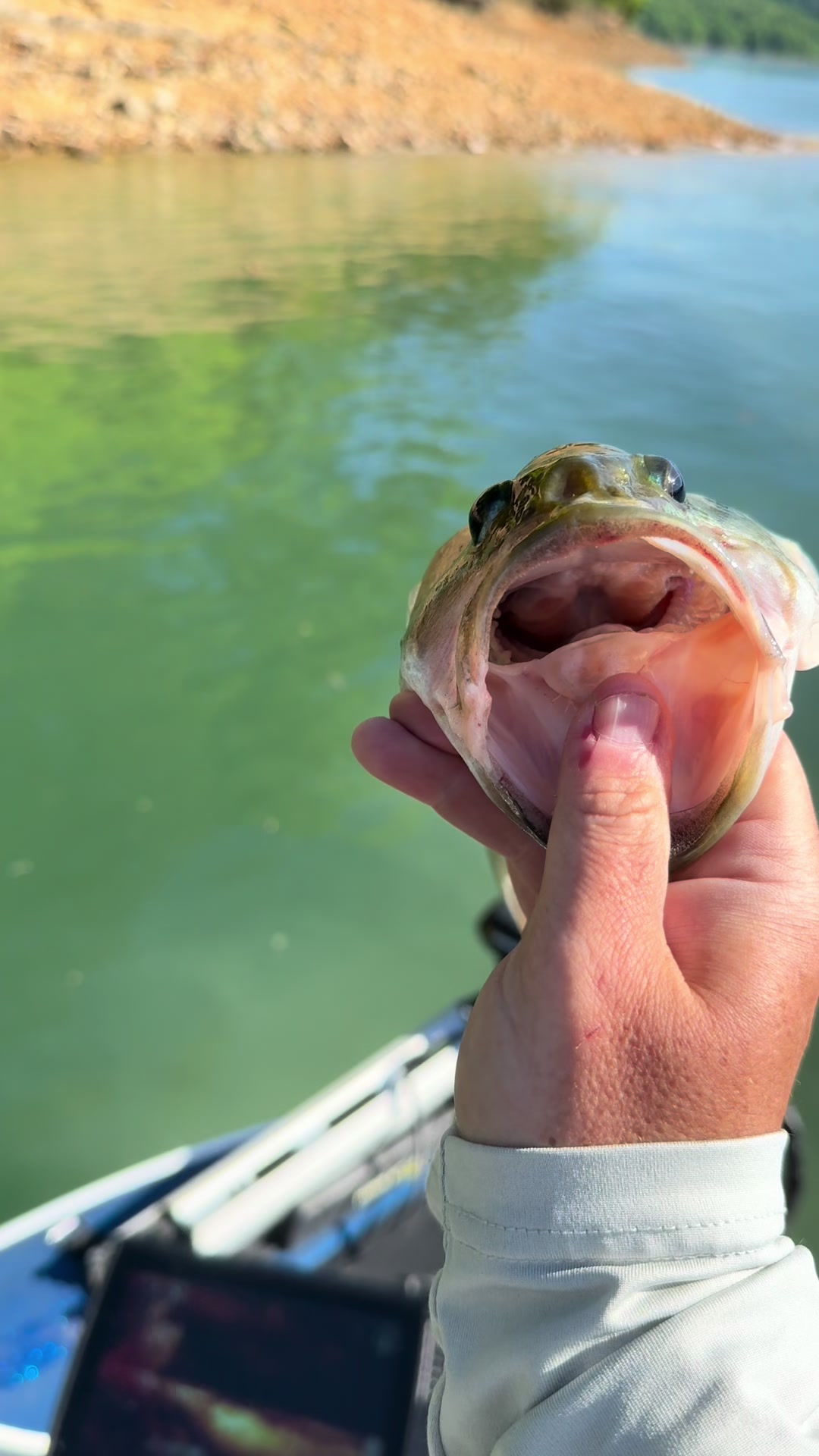 @Canetucky Bait Company