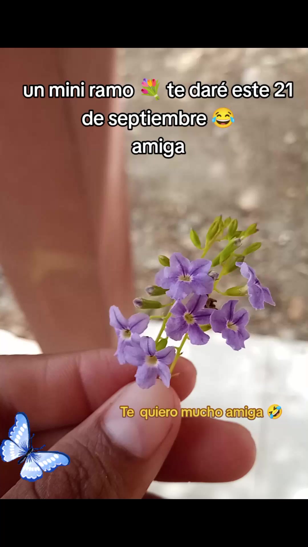@Sebastián 74