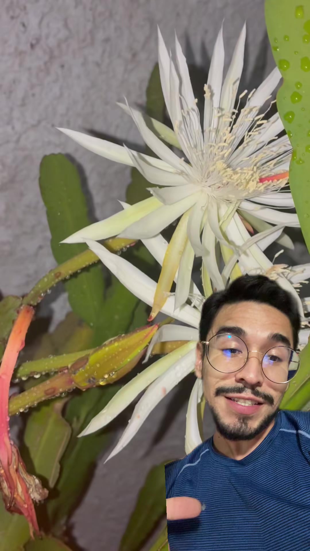 @Uriel el de las plantas