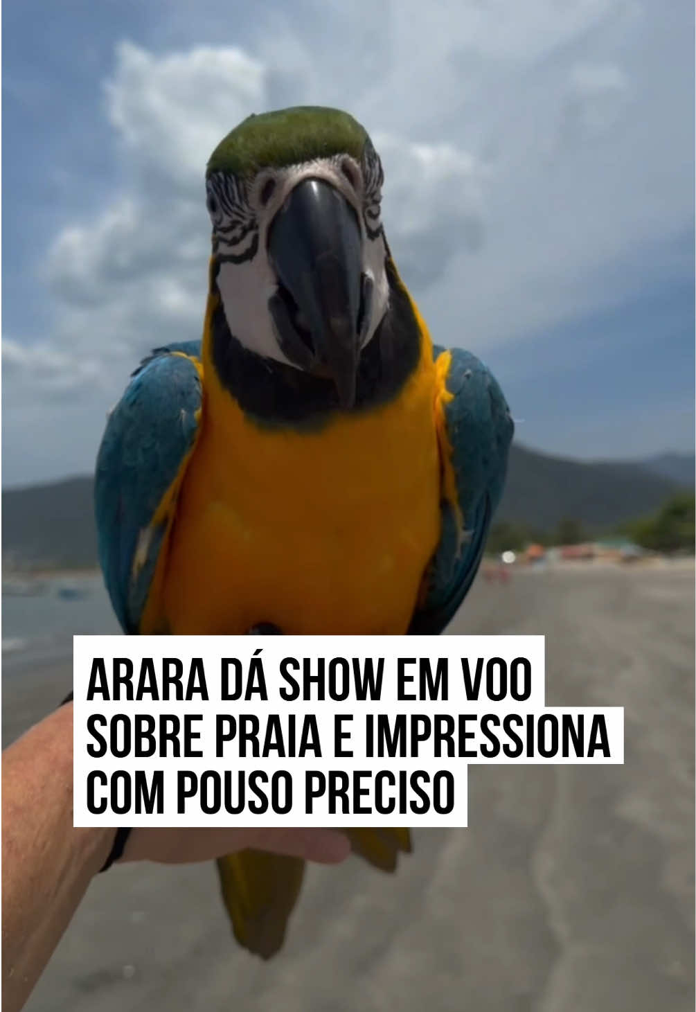 @Metrópoles Oficial