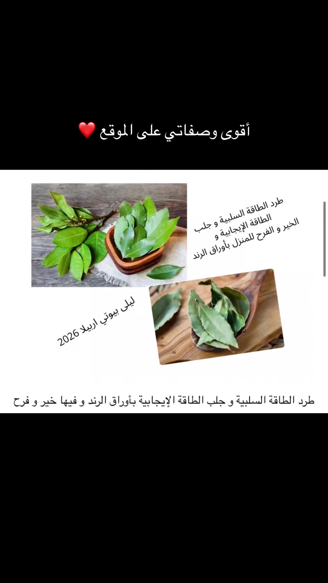 @Lila Beauty | arabella