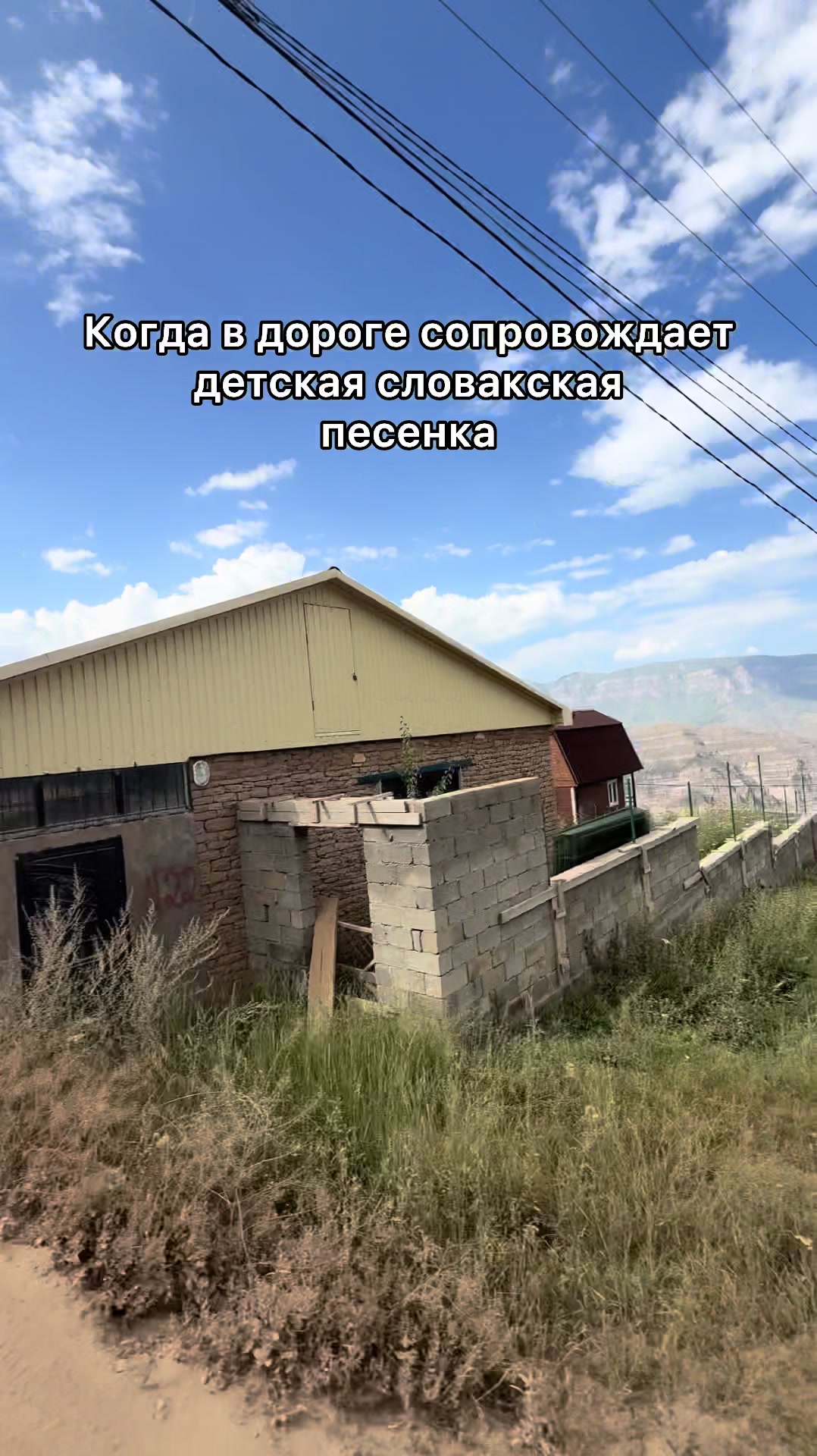 @Жужа и ее друзья