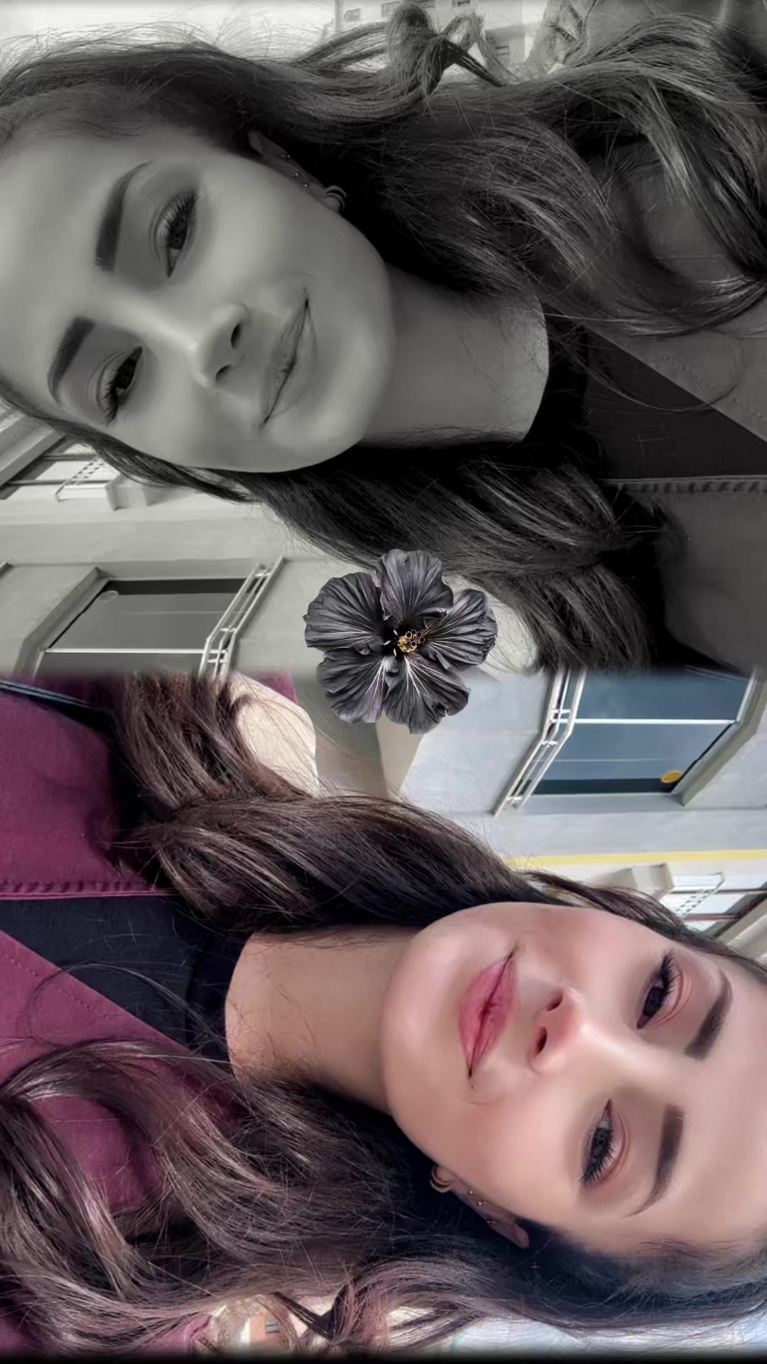 @aleyna🦋