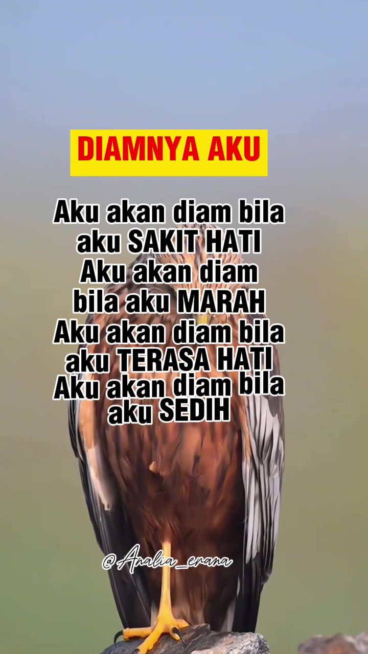 @Analia Kim