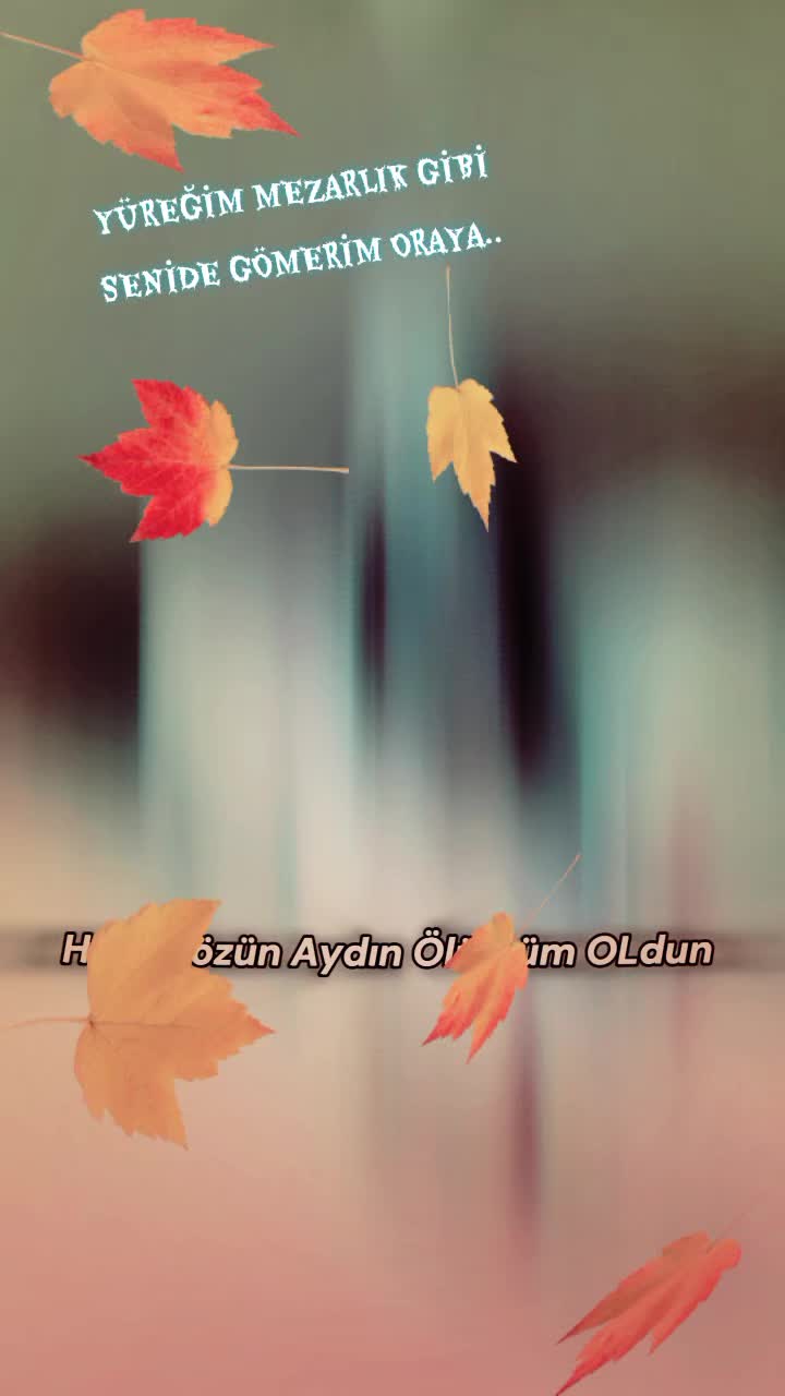 @Serdar 3846