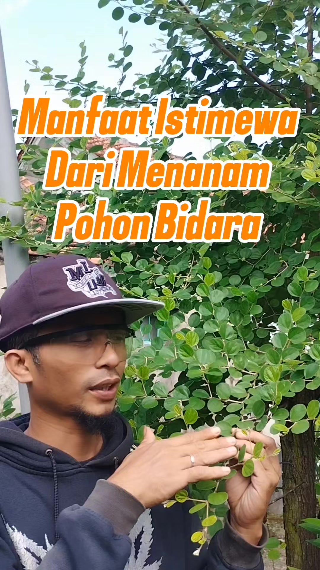@Bukit Farming