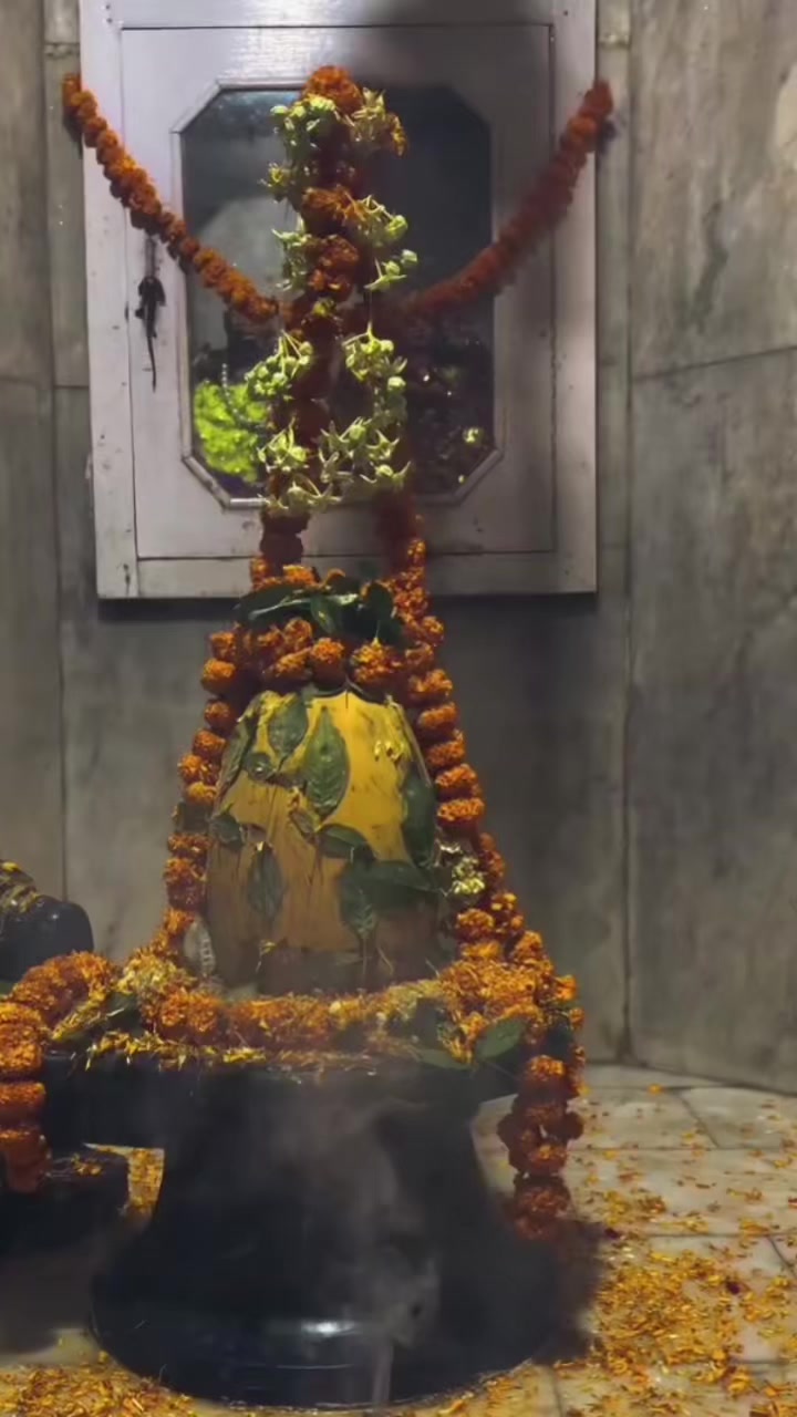 @harharmahadev205v