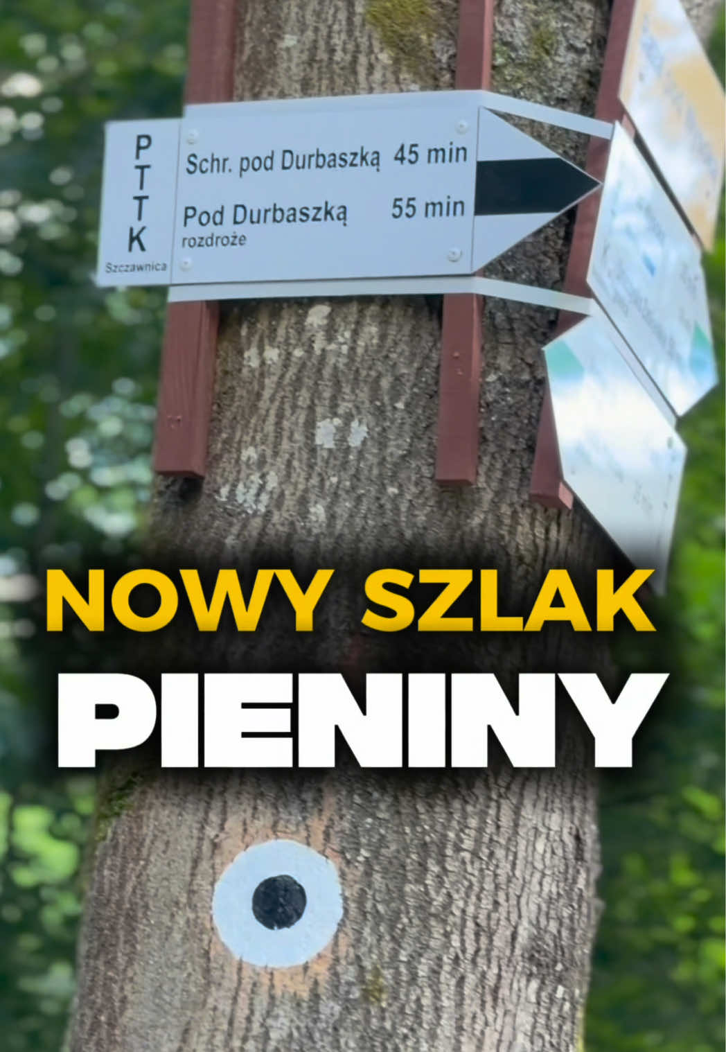 @HASAJĄCE ZAJĄCE