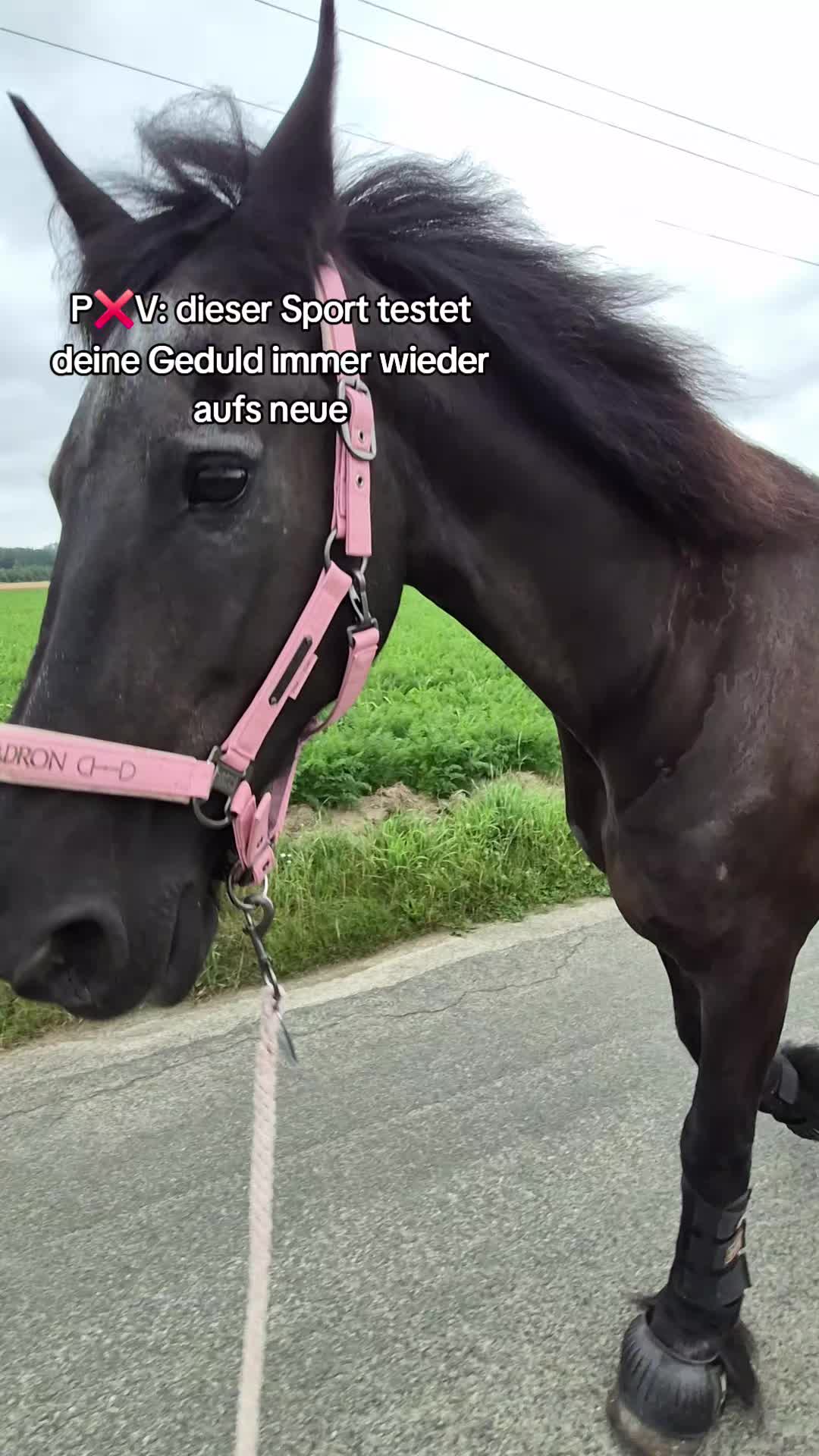 @Soñador