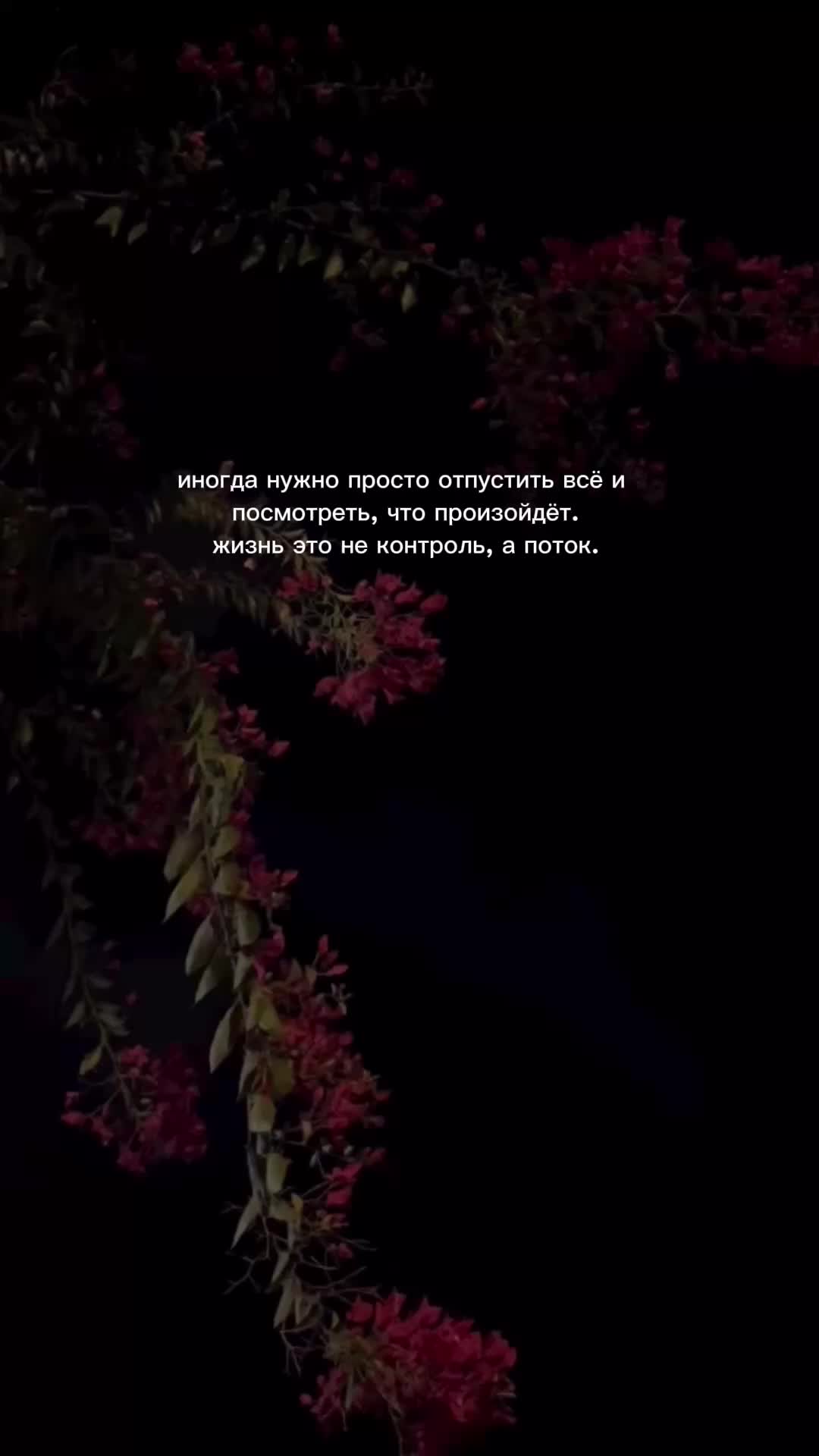 @sad_you_songs1