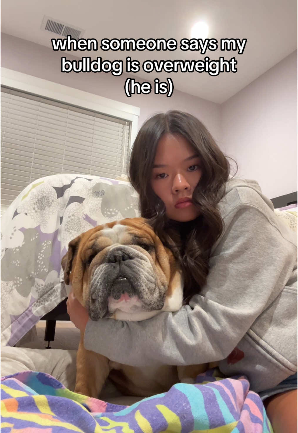 @Reggie the Bulldog