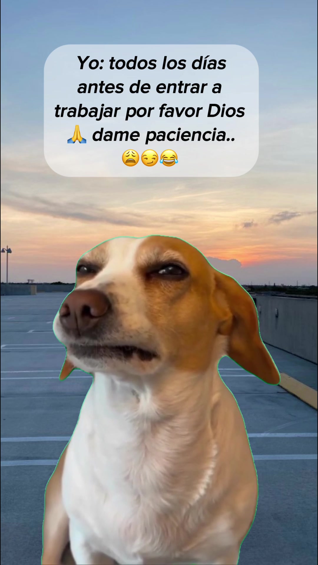 @💞 Paloma Rodriguez 🇲🇽
