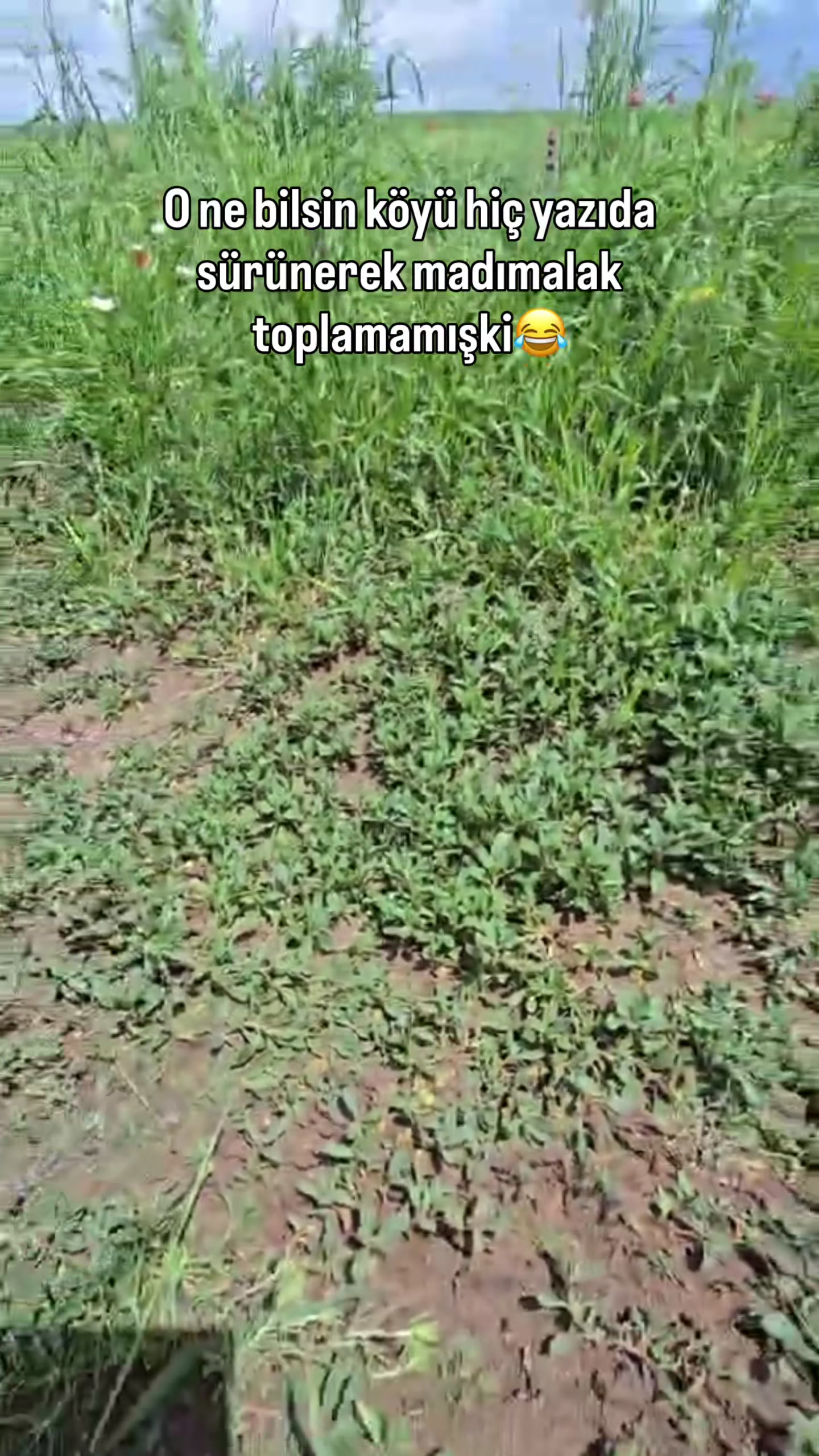 @Yerköy Hacılı Köyü