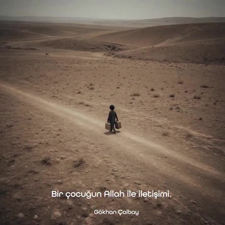 @🕊️