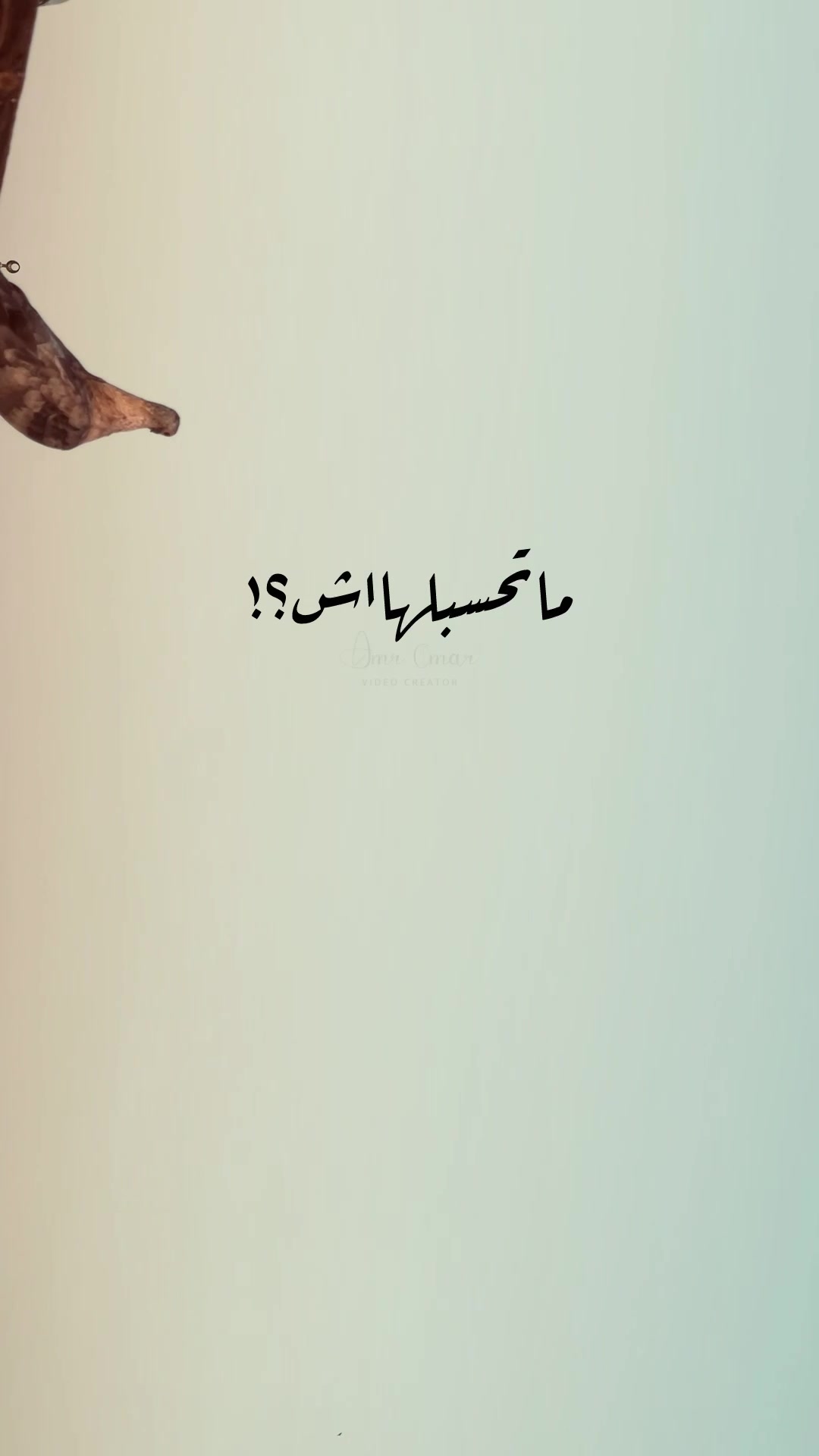 @﮼عمرو﮼عمر🕊️