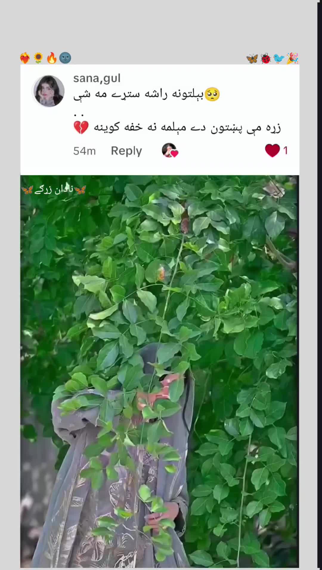 @🌷🦋 غمجنی ٹپی 🦋🌷