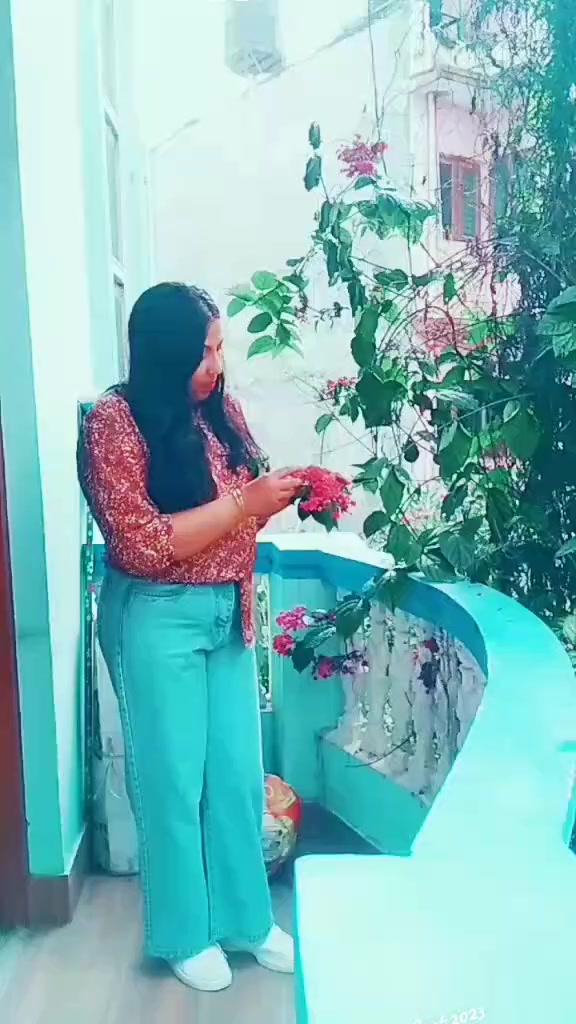 @Dibya Dulal Acharya