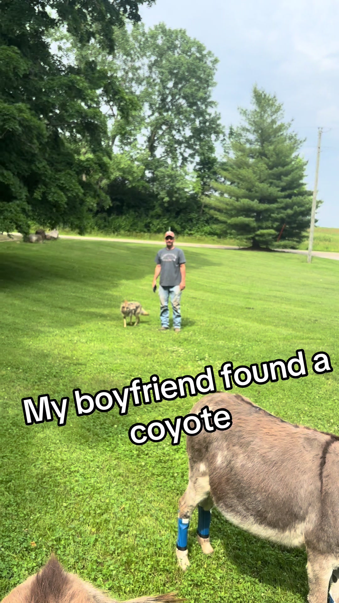 @ittybittyfarm1