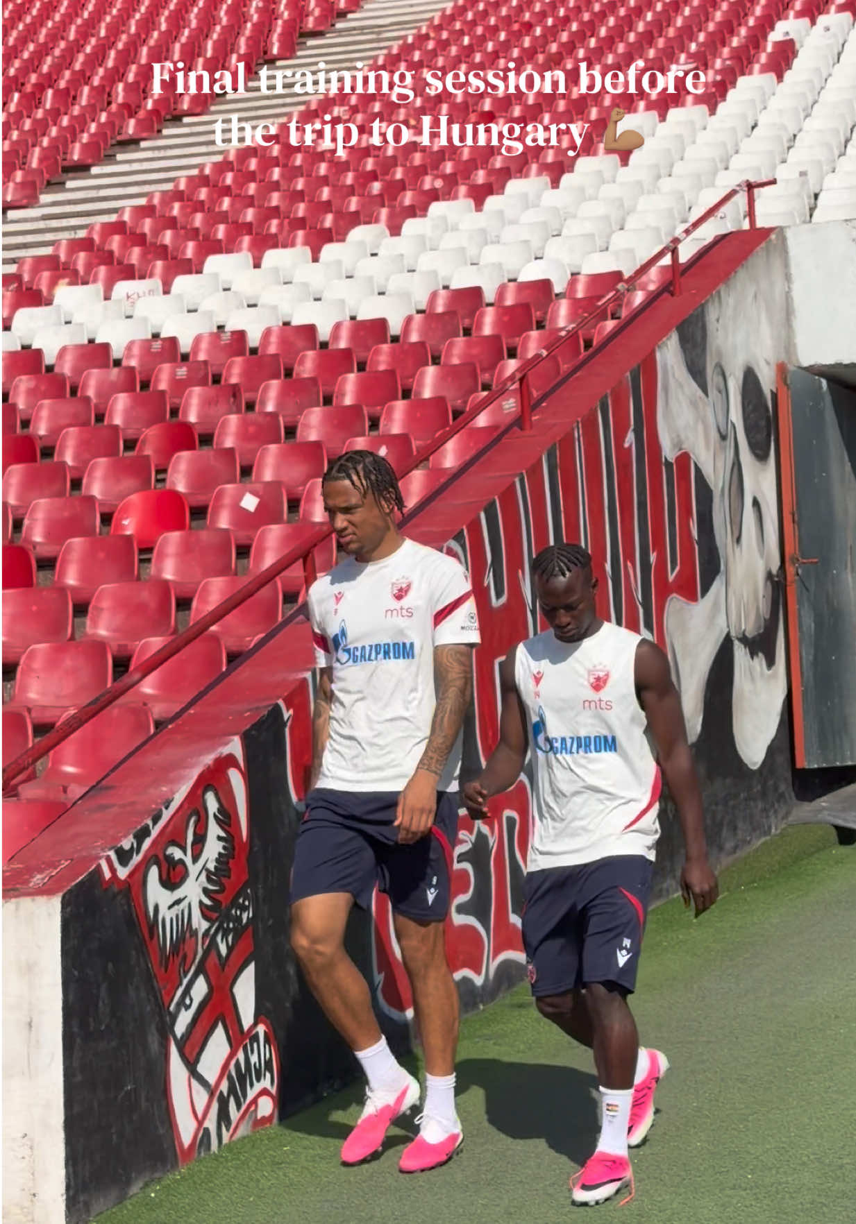 @FK Crvena zvezda