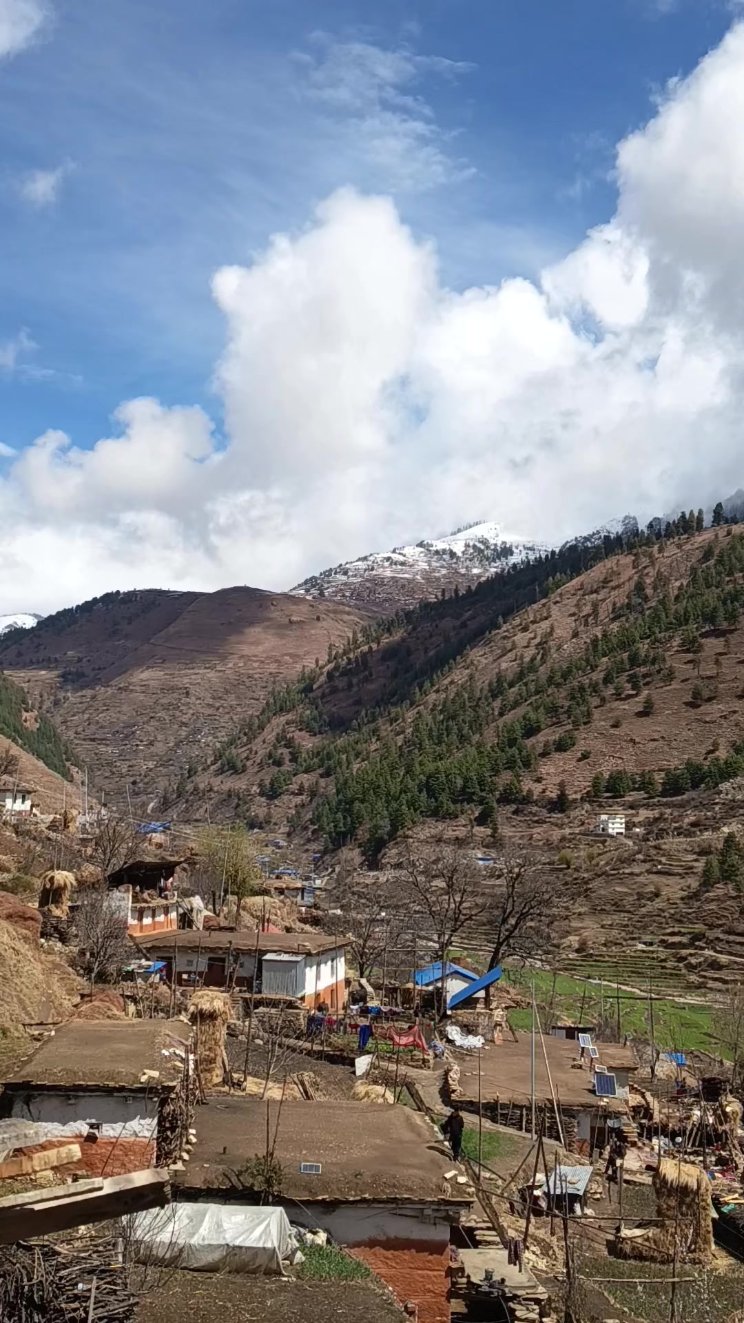 @जनक कार्की ( जुम्ली छोटया )