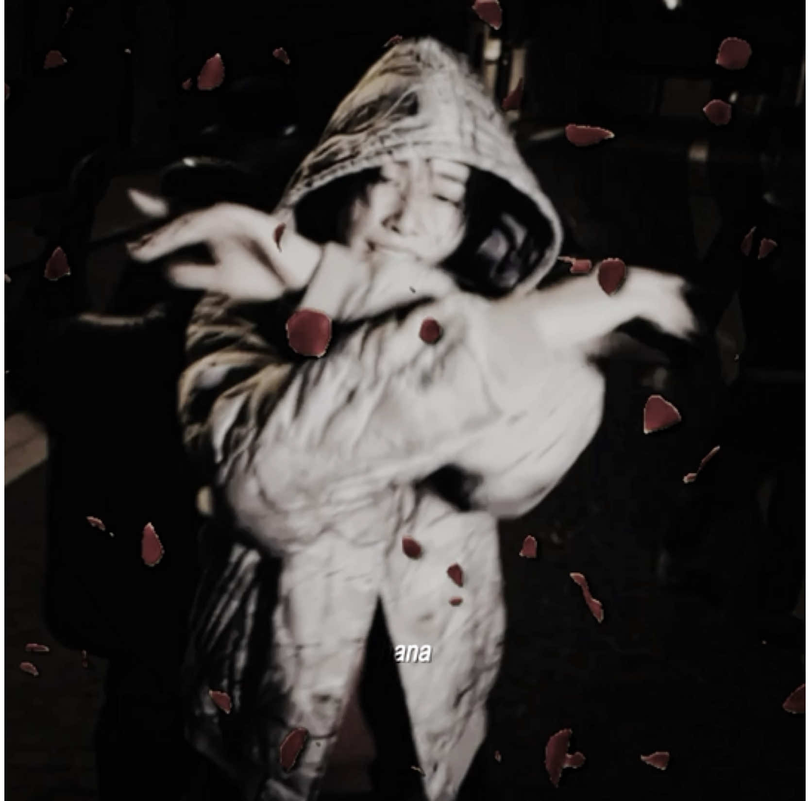 @𝗵𝗮𝗻𝗮❦