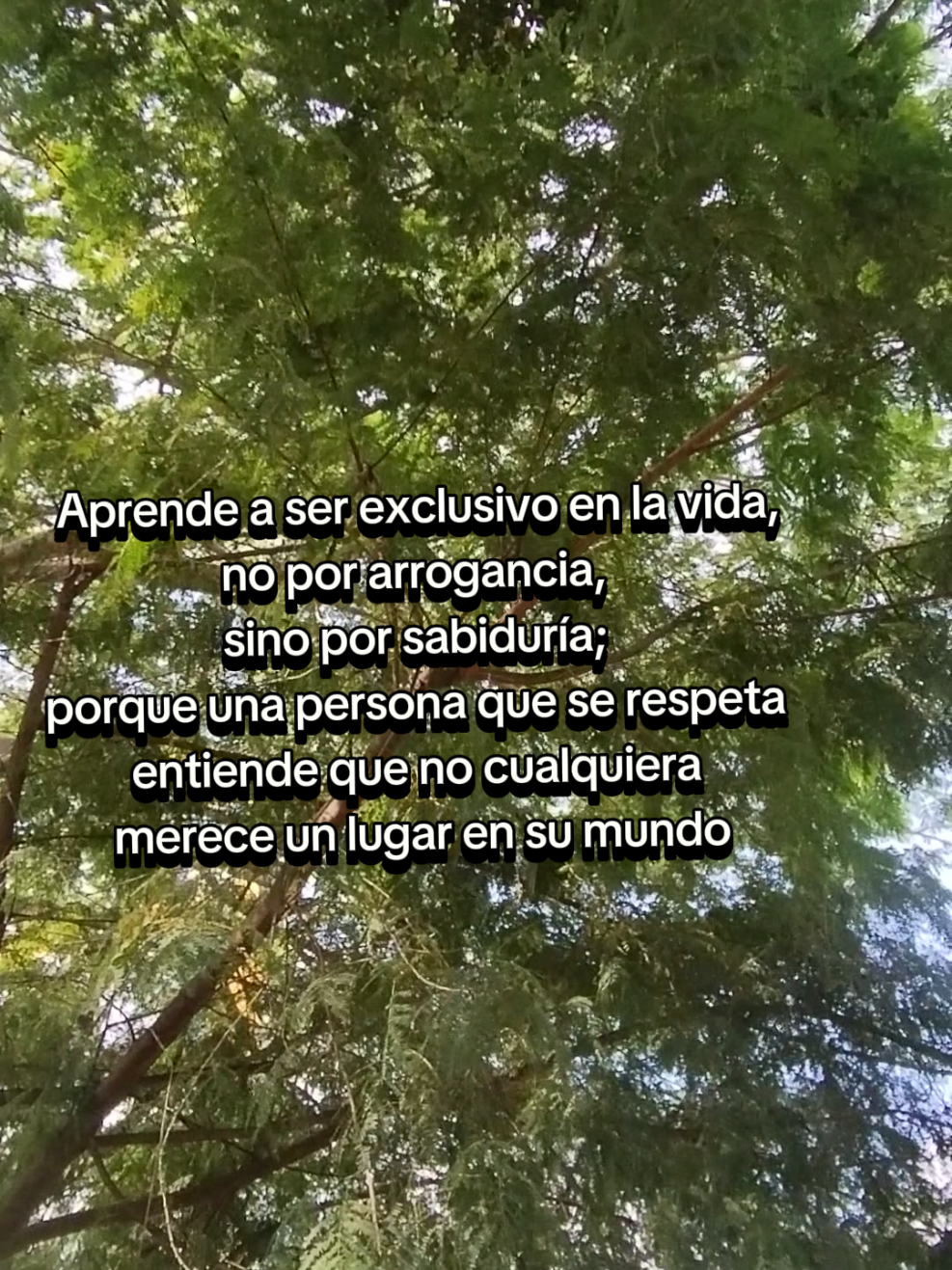 @Liliana Zabala Mendoza