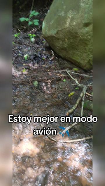 @🪷🦀🐦🔥🥀Adonahy Vidal 🥀🦀