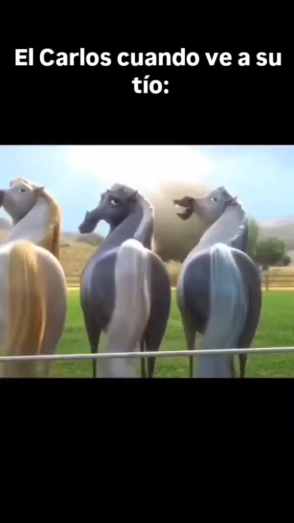 @vikiper