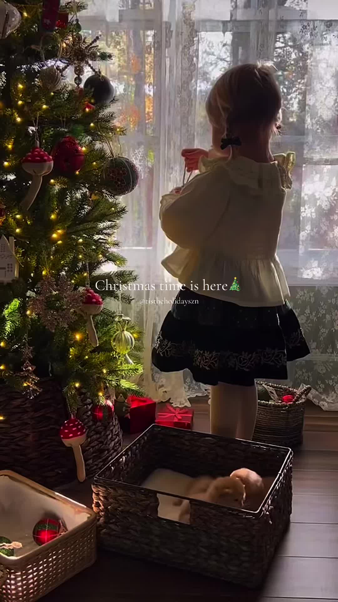 @Christmas Vibes❤️🎄