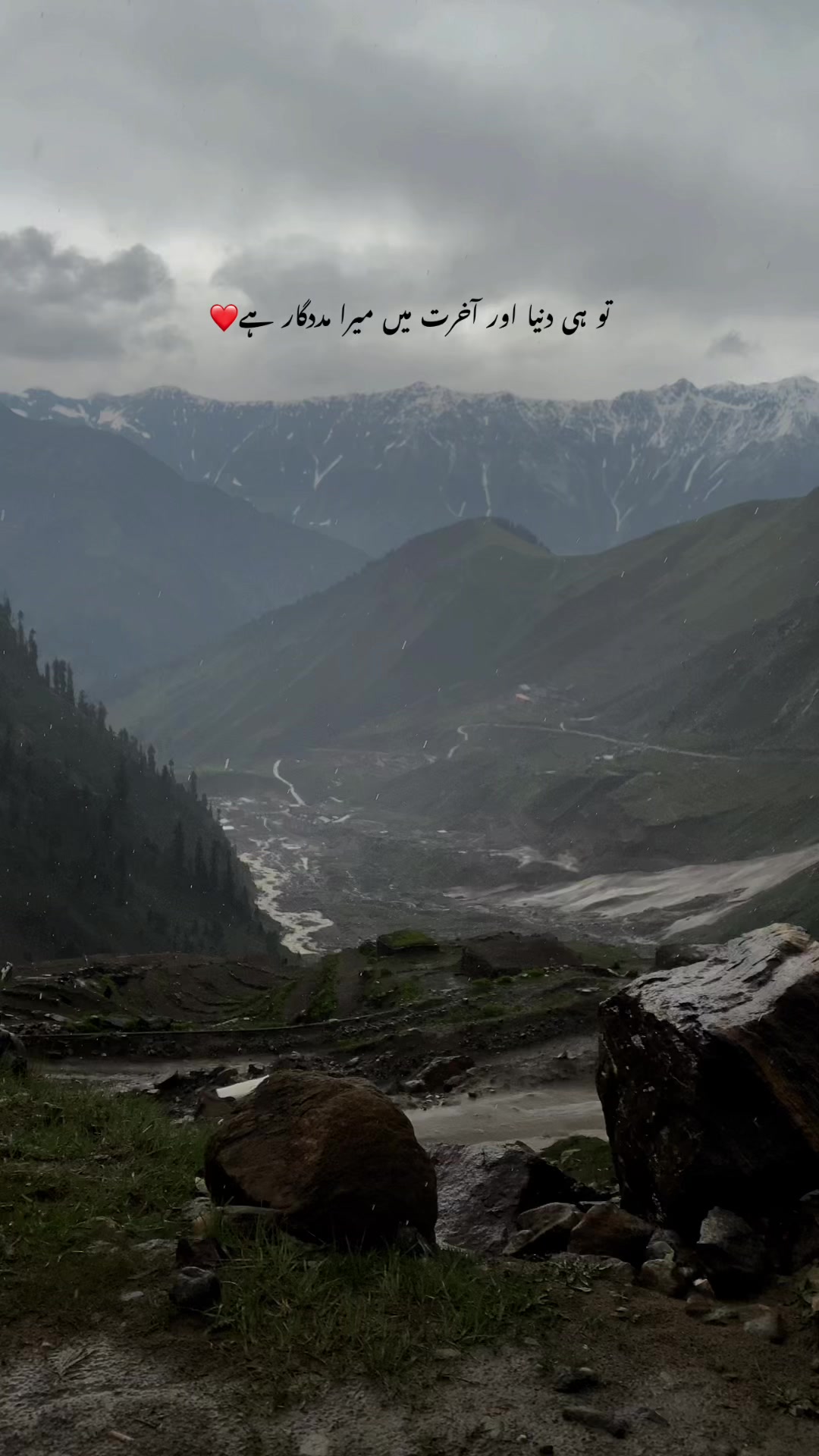 @Mehtab Tabi ...❤️
