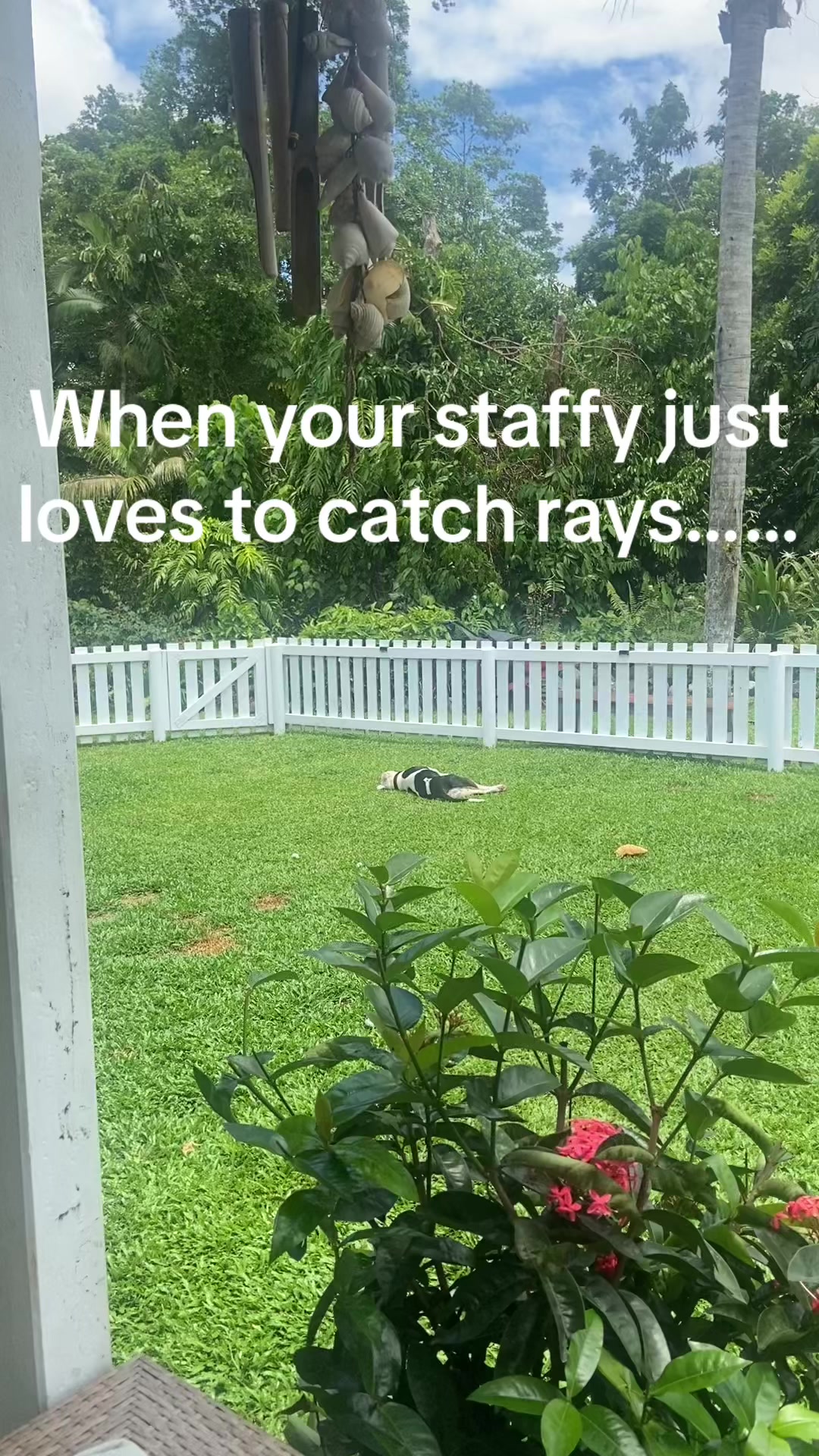 @Stacey Dallas Ann