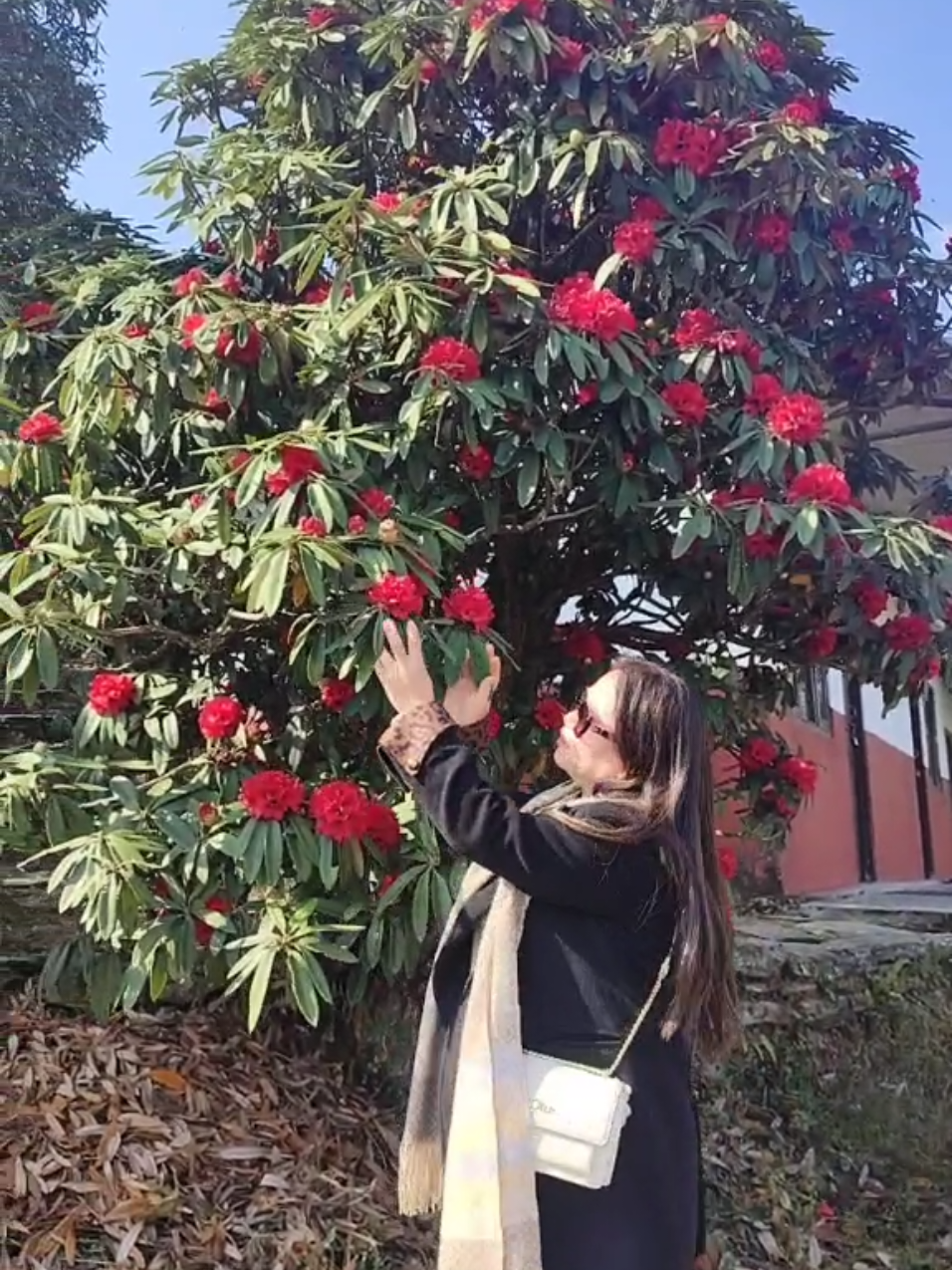 @Isha_thapa