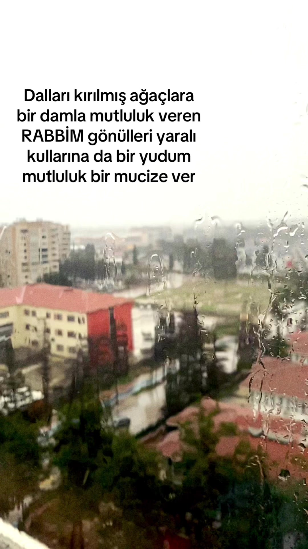 @ŞAHİN_01