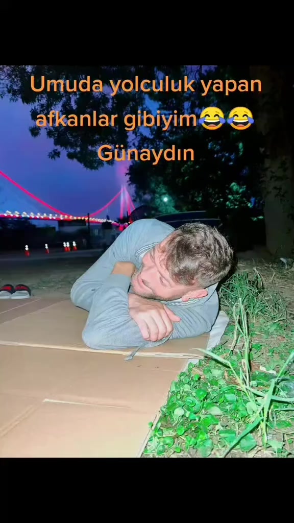 @ÇAM ALİ