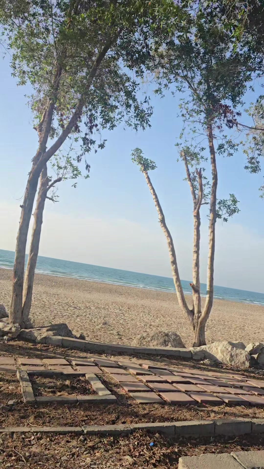 @بنت الشيخ