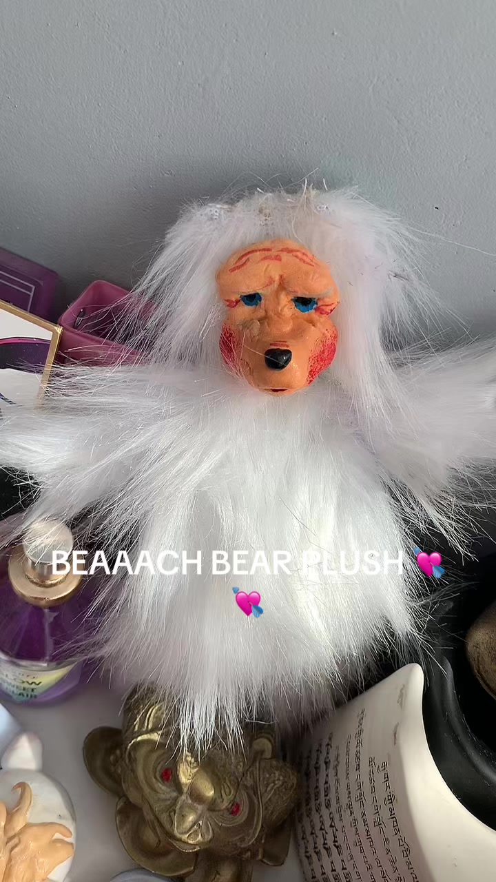 @🪼>Beach bear! #SPP