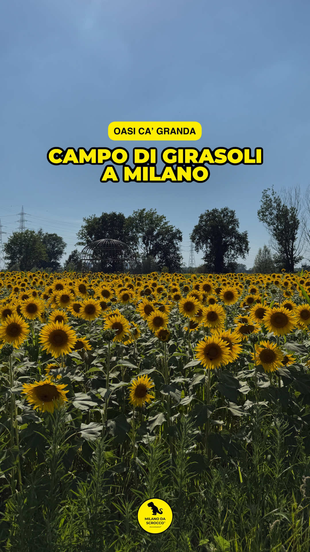 @milanodascrocco