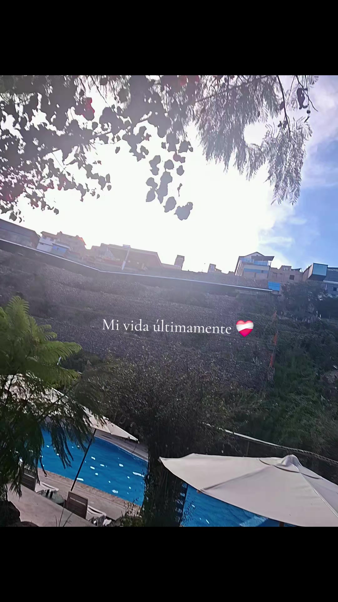 @🦋Cielo🦋