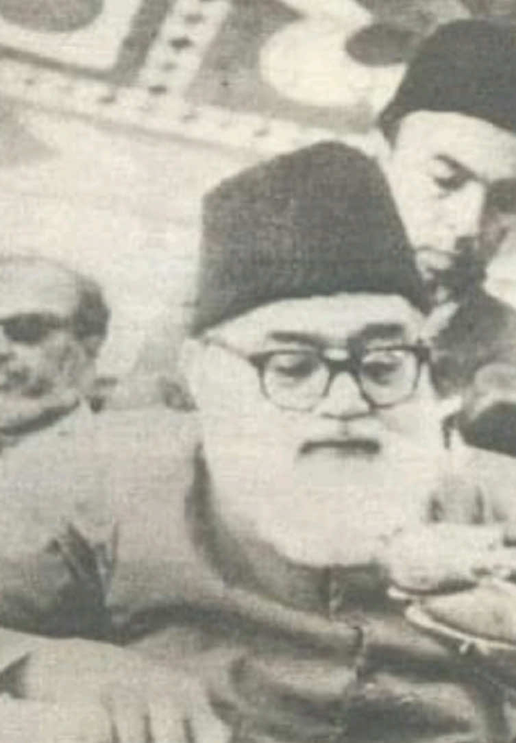 @سَیّد مَودُودی رَحمہﷲ ☘️