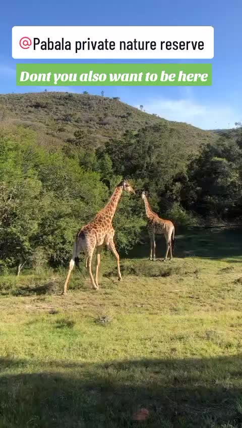 @Pabala Private Nature Reserve