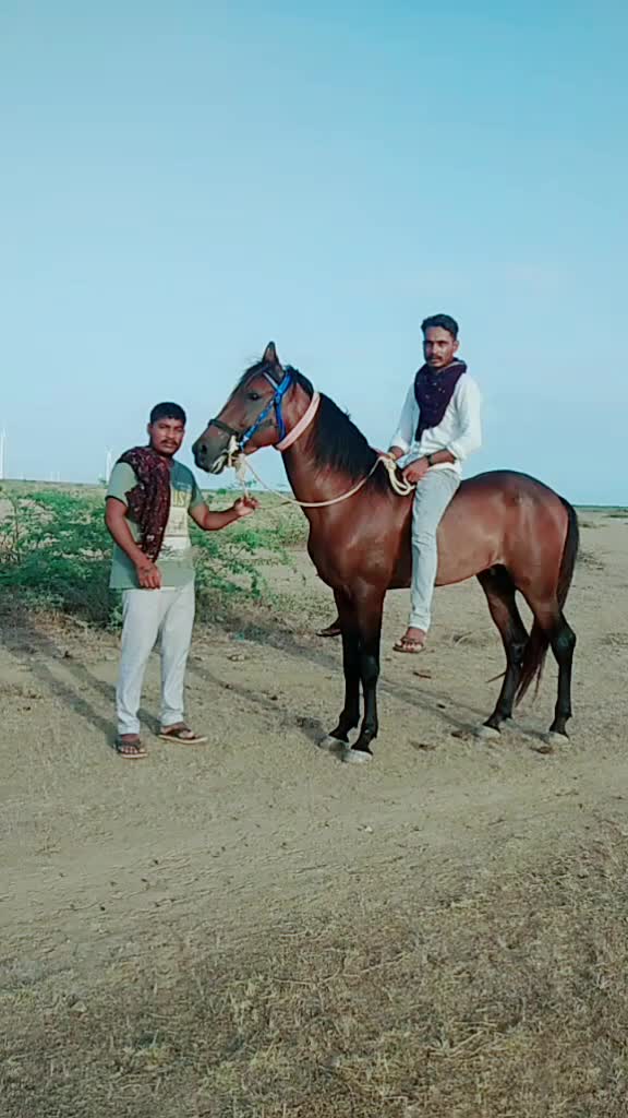 @mokha Ranjitsinh