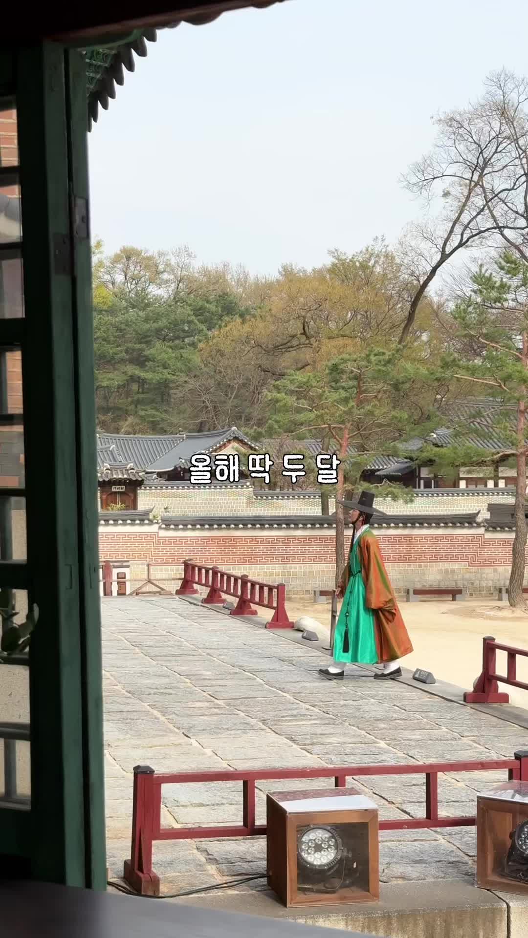 @traveler_jin