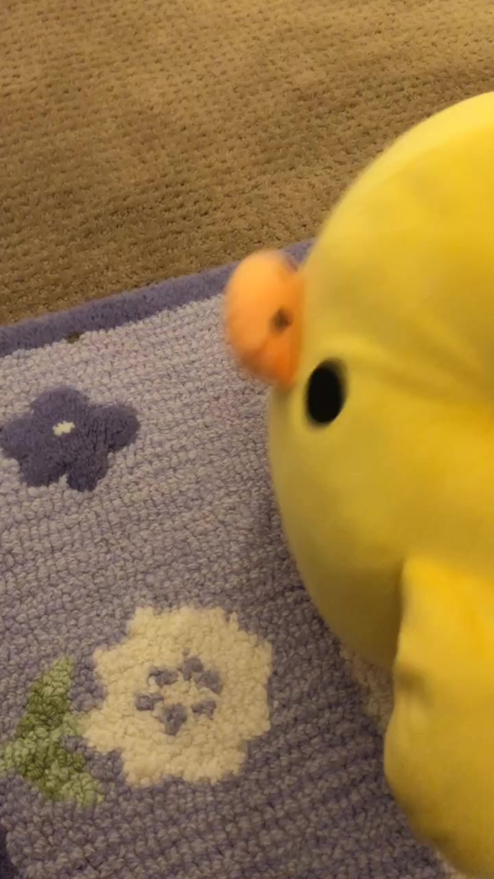 @Duck