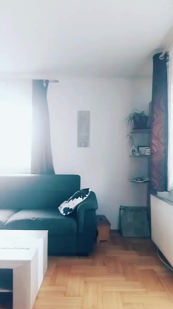 @typisch.sassiii