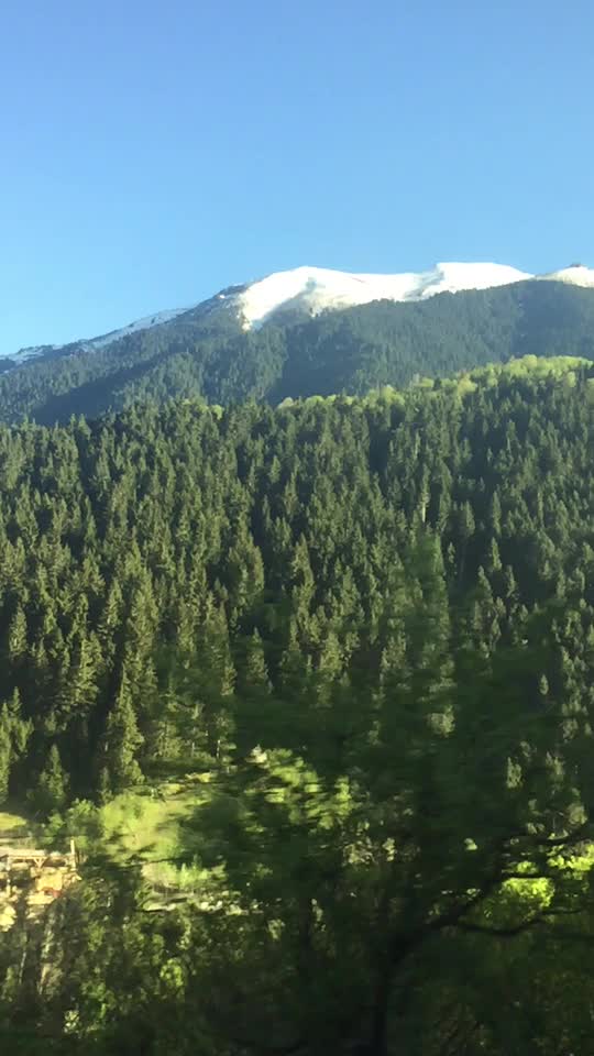 @&Uuml;nal Bağdaş