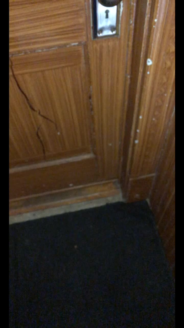@Torii