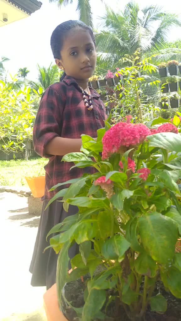 @Rajesh Navaneetham
