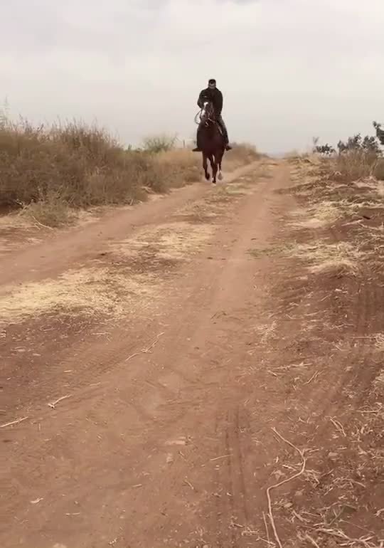 @Agaaaaaaa