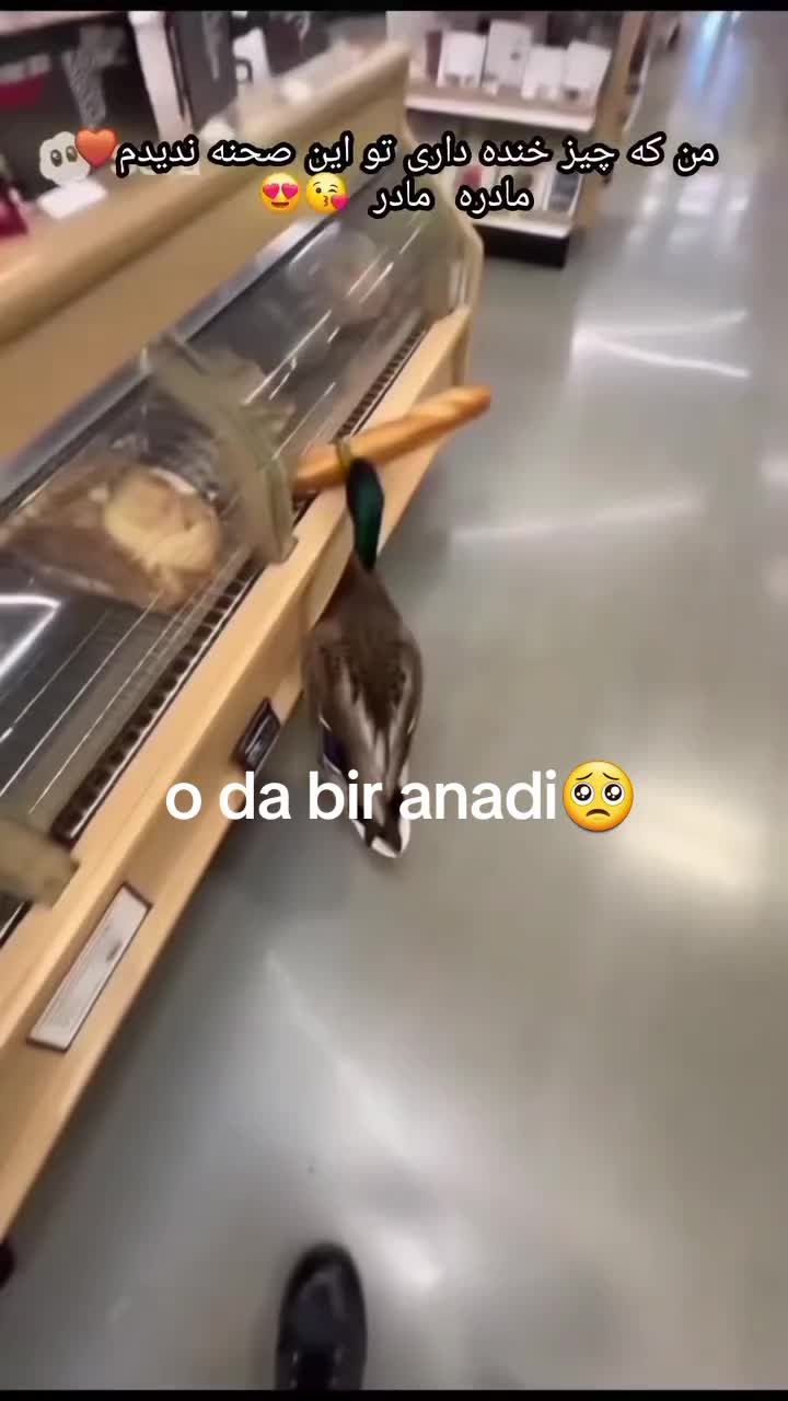 @agkölge