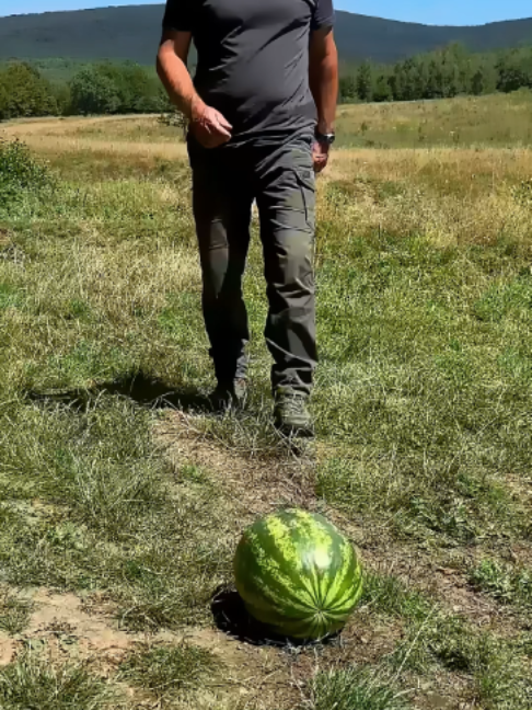 @Survival Skills TV